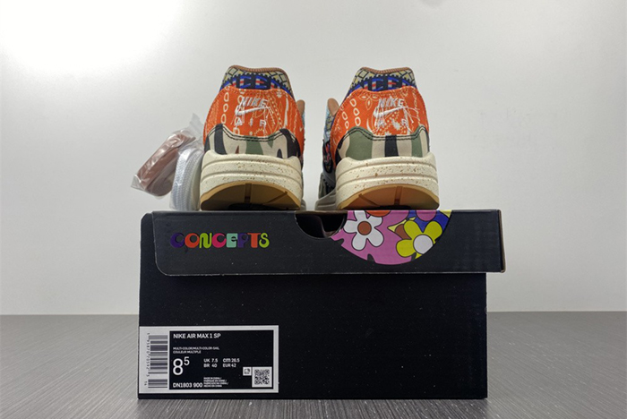 Nike Air Max 1x Concepts