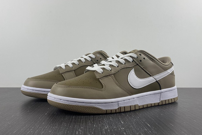 NIKE DUNK LOW RETRO DJ6188-200