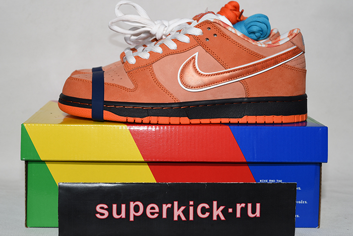 Concepts x Nike SB Dunk Low FD8776-800