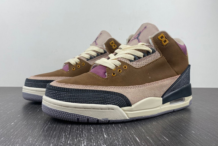 Air Jordan 3 Retro SE AJ3  DR8869-200