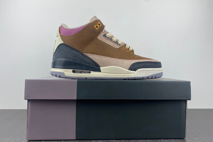 Air Jordan 3 Retro SE AJ3  DR8869-200